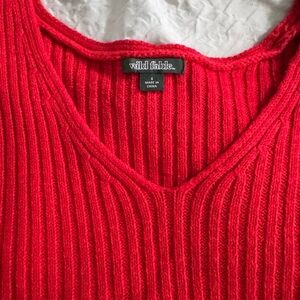 Wild Fable V-Neck Sweater in Bold Red